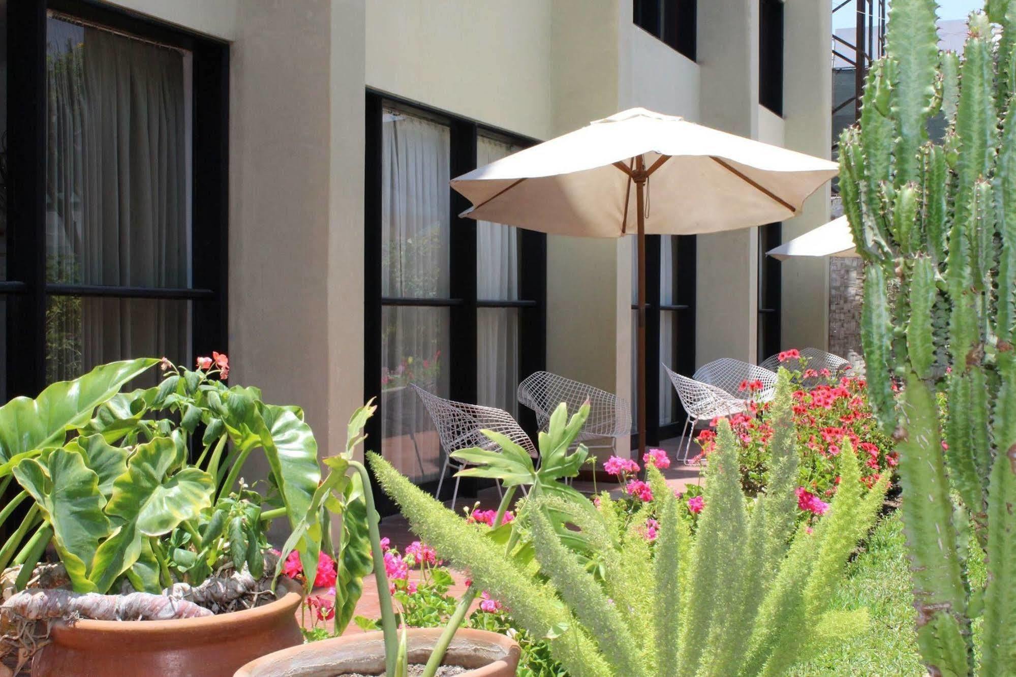 Holiday Suites Tacna Dış mekan fotoğraf